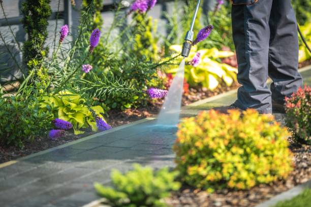 Trusted Pooler, GA Pressure Washing Services Experts