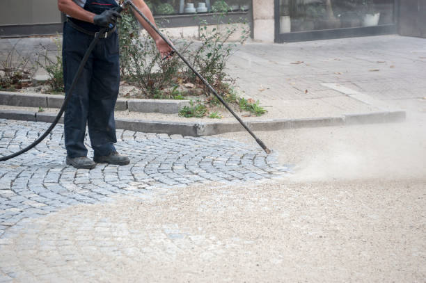 Best Fence Cleaning  in Pooler, GA