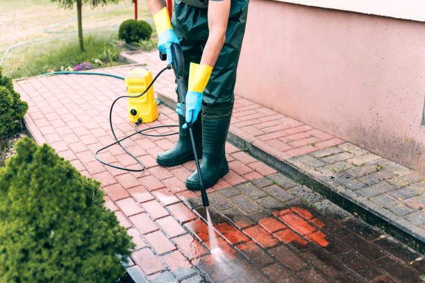 Best Animal Enclosure Cleaning  in Pooler, GA